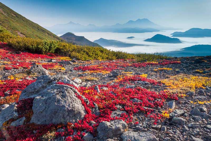 كامشاتكا Kamchatka